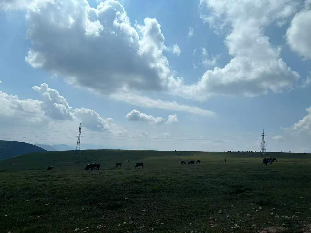 風(fēng)電新顏，晨虹醇酸調(diào)和漆打造綠色能源之美